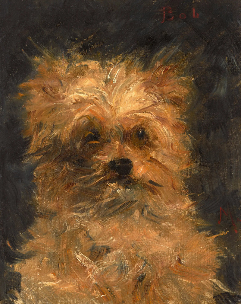 Bob, cão griffon - Édouard Manet