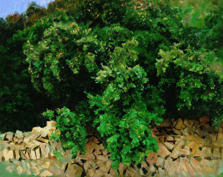 Madeira de Ilex. Maiorca - John Singer Sargent