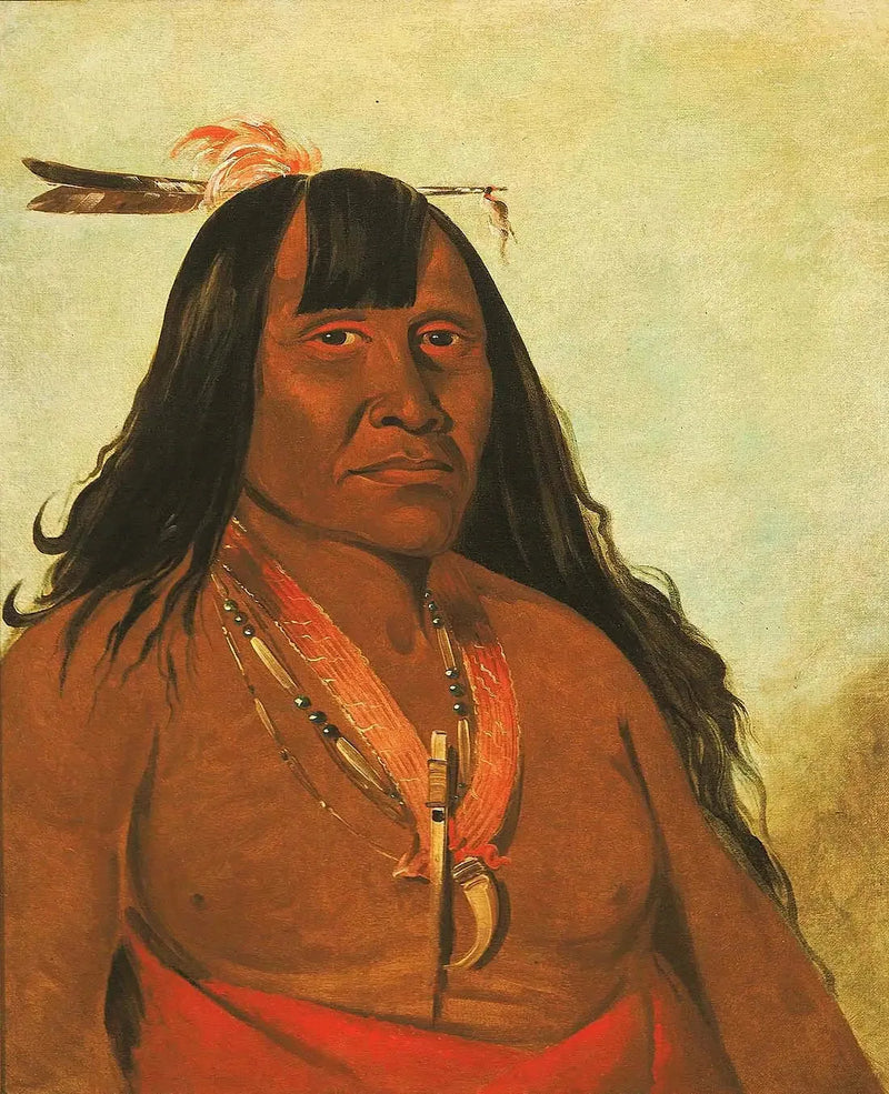 Bón-són-gee, Novo Fogo, um chefe de tribo - George Catlin