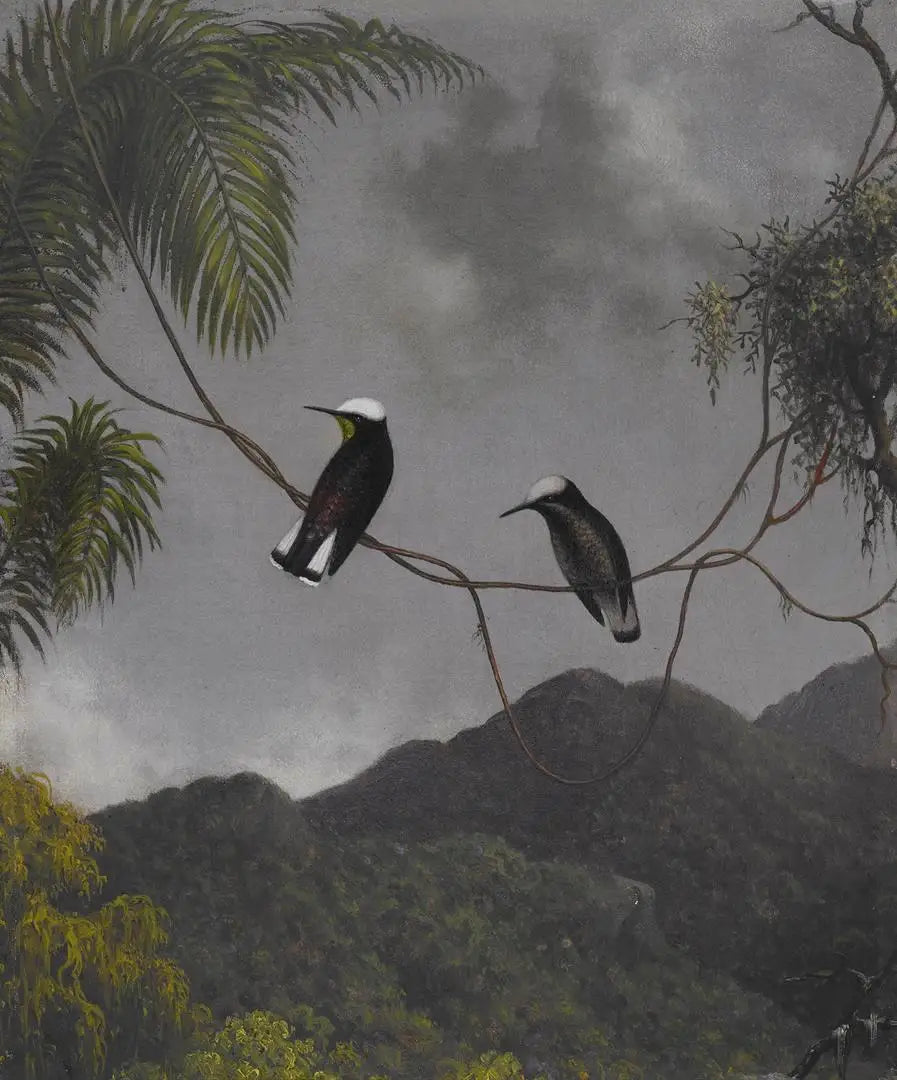 Bonnet de neige - Martin Johnson Heade - Alpha Reproduction