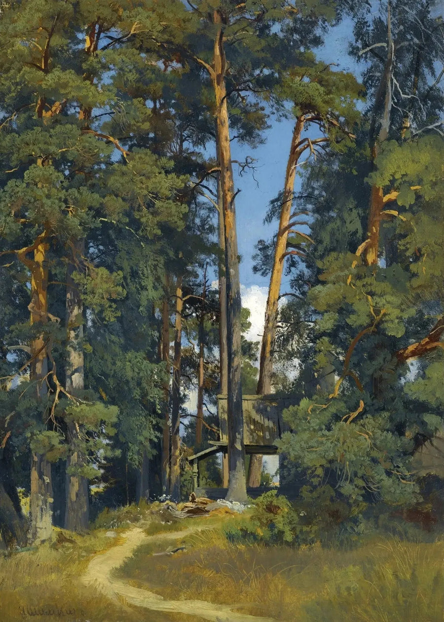 Bosque arborizado - Ivan Chichkine