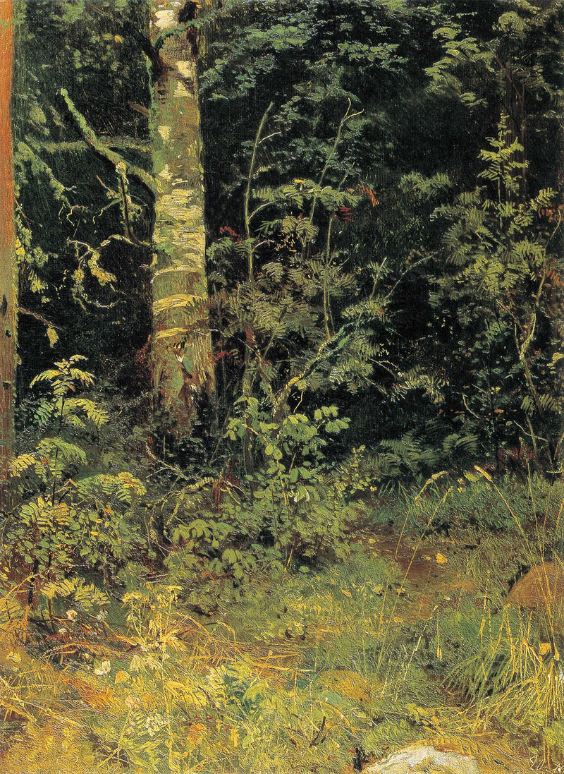 Bétula e sorveira - Ivan Chichkine