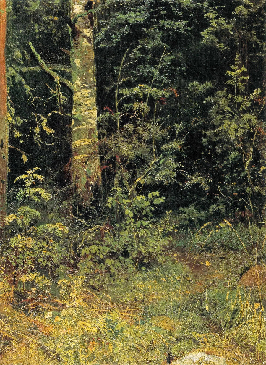 Bétula e sorveira - Ivan Chichkine