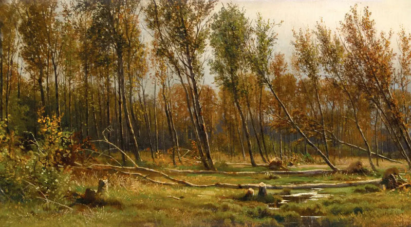 Bouleaux após a tempestade - Ivan Chichkine