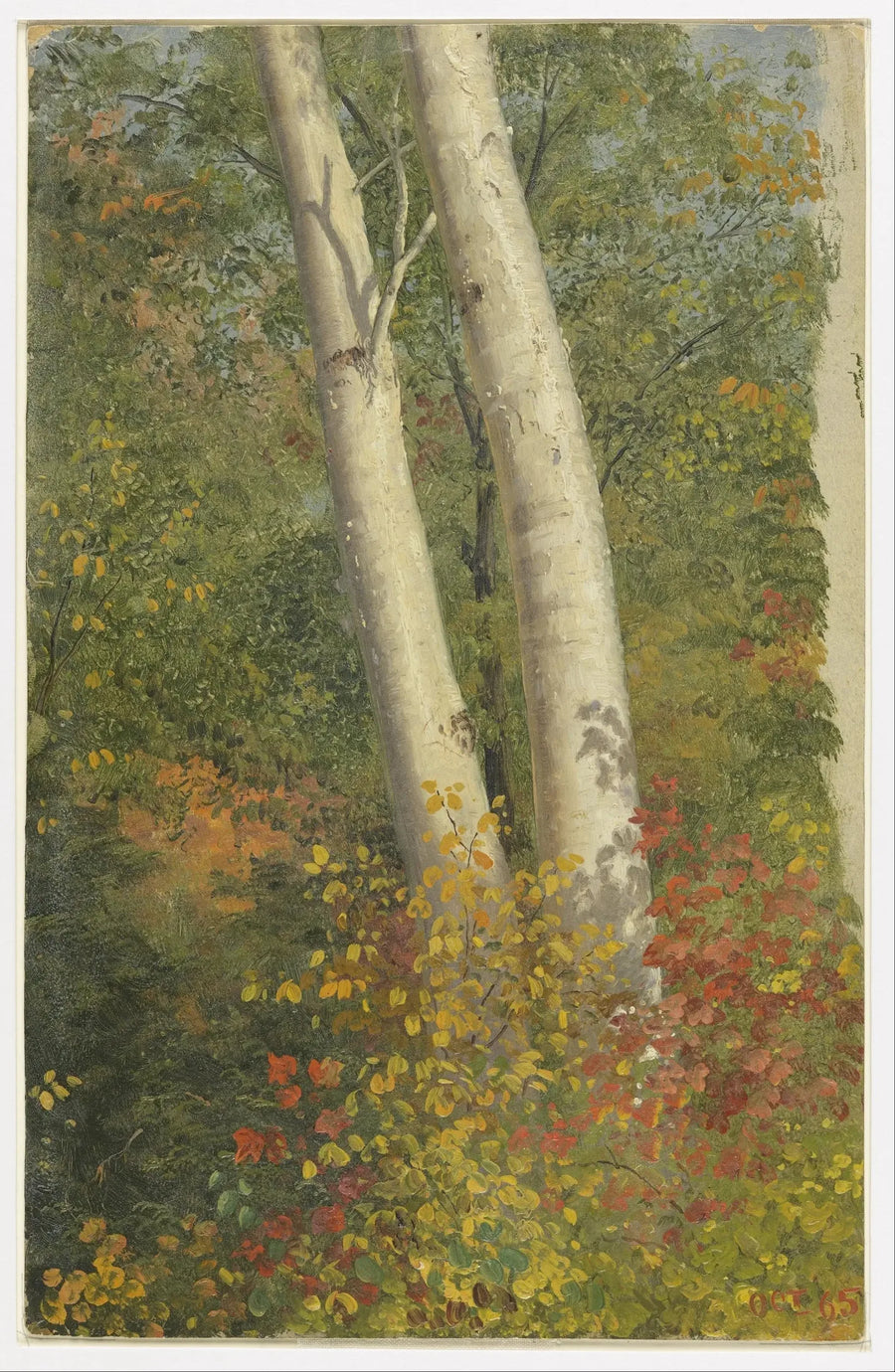 Bouleaux no outono - Frederic Edwin Church