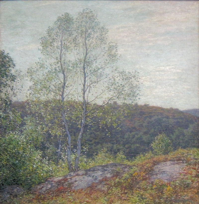 Bouleaux gêmeos - Willard Metcalf