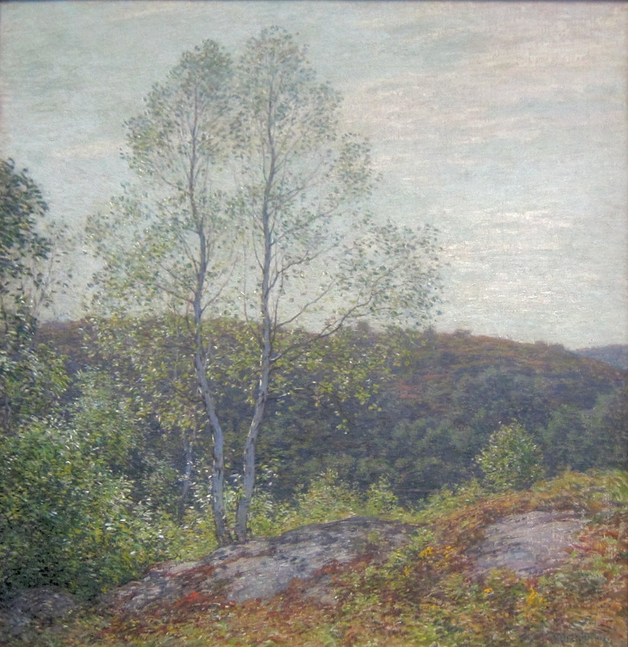 Bouleaux gêmeos - Willard Metcalf