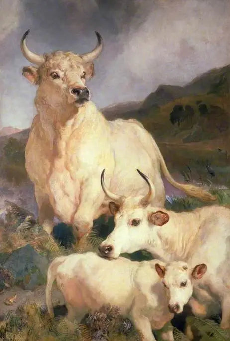 Bovinos selvagens de Chillingham, Northumberland - Edwin Henry Landseer