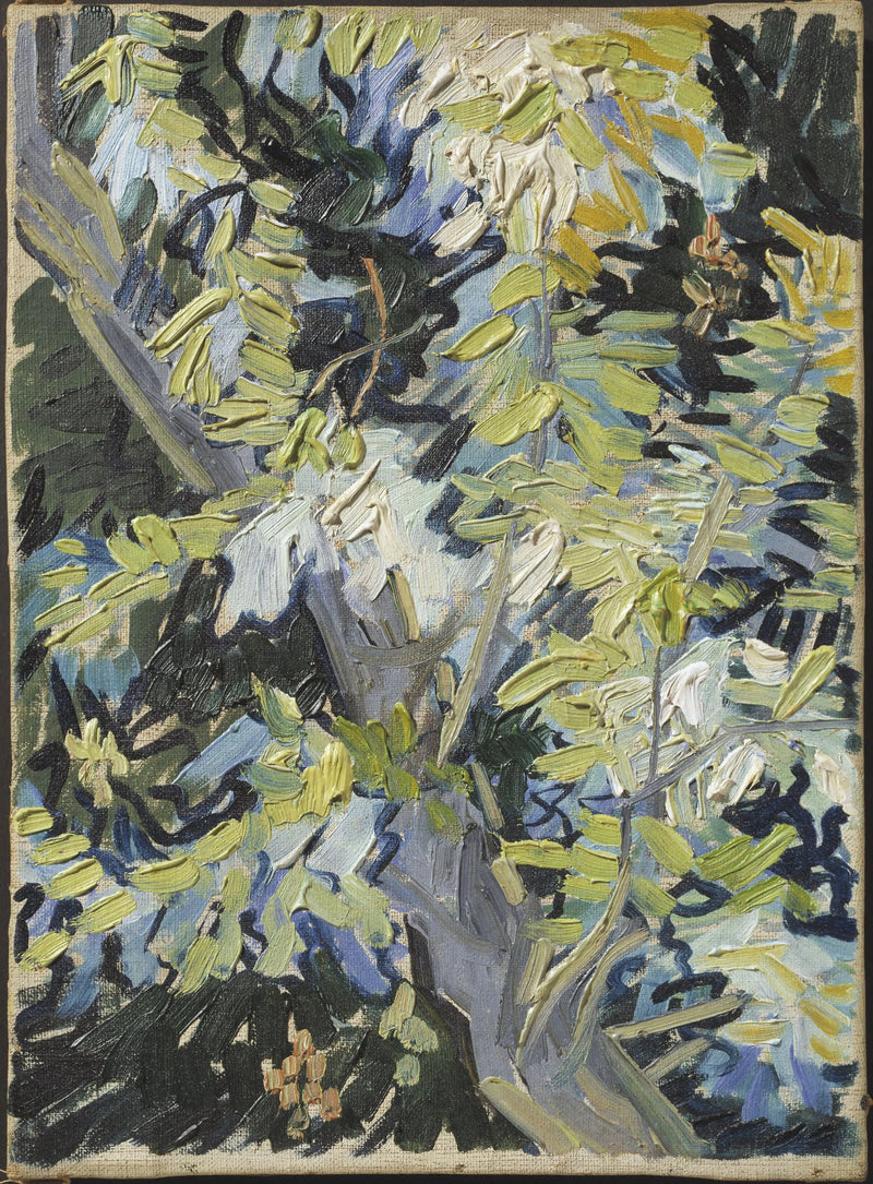 Ramos de acácia em flor - Vincent van Gogh