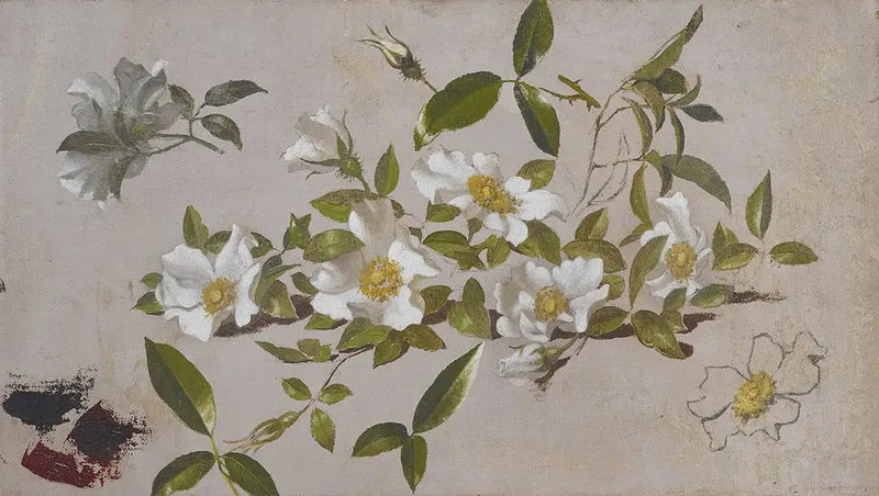  Ramos de rosas Cherokee - Martin Johnson Heade