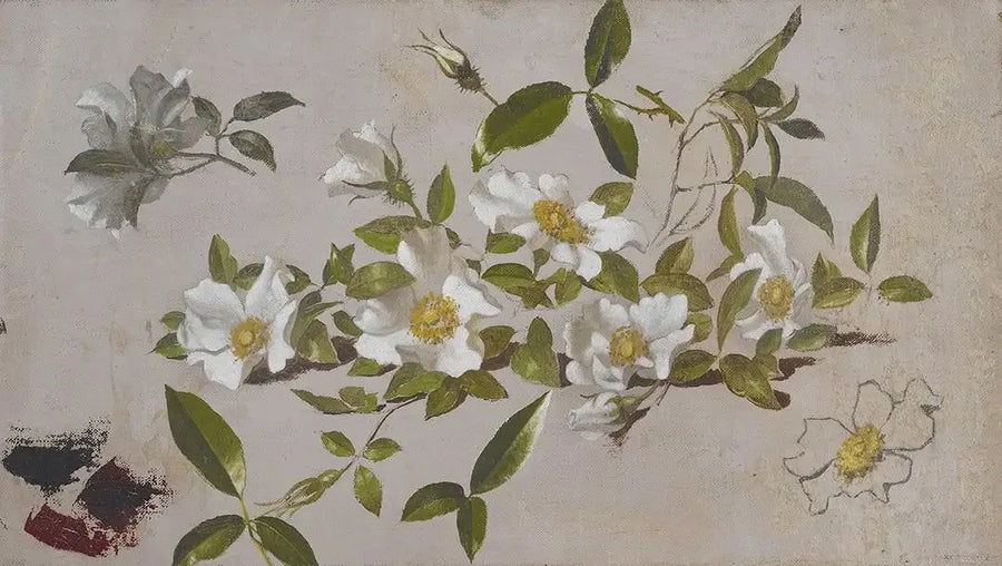 Ramos de rosas Cherokee - Martin Johnson Heade