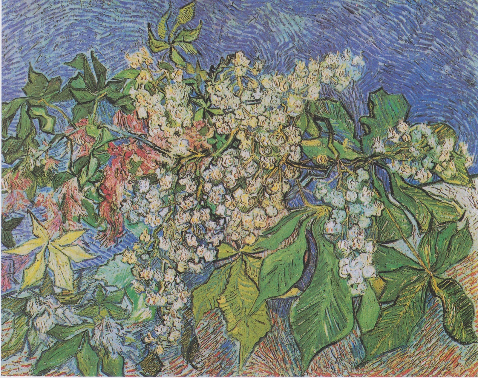 Ramos de castanha em flor - Vincent van Gogh