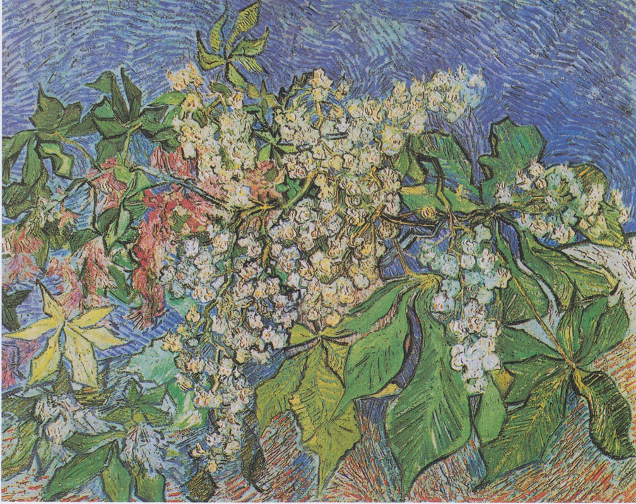 Galhos de castanheiro em flor - Vincent van Gogh