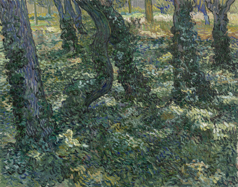 Arbustos - Vincent van Gogh