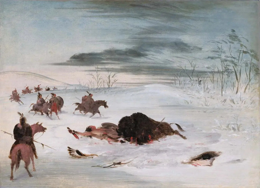  Búfalo macho morrendo em uma geleira - George Catlin