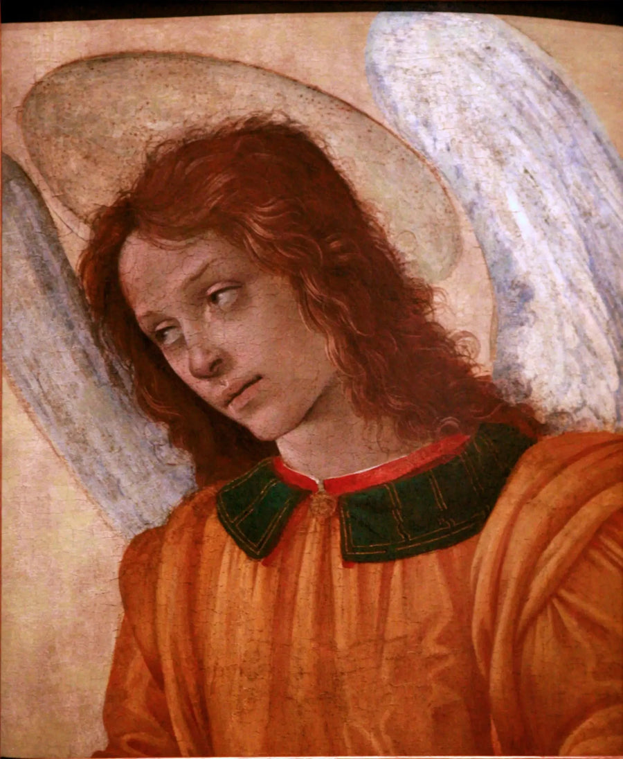 Busto de anjo - Filippino Lippi