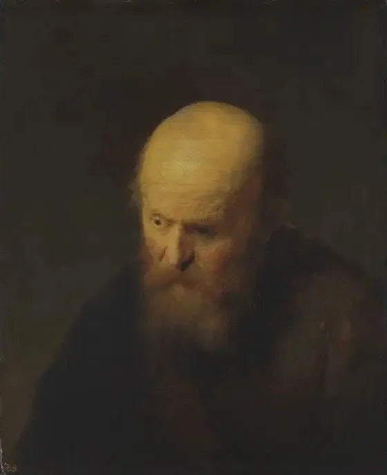 Busto de um velho com a cabeça careca - Rembrandt