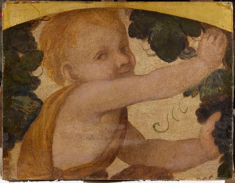 Busto de putto entre as parreiras - Bernardino Luini