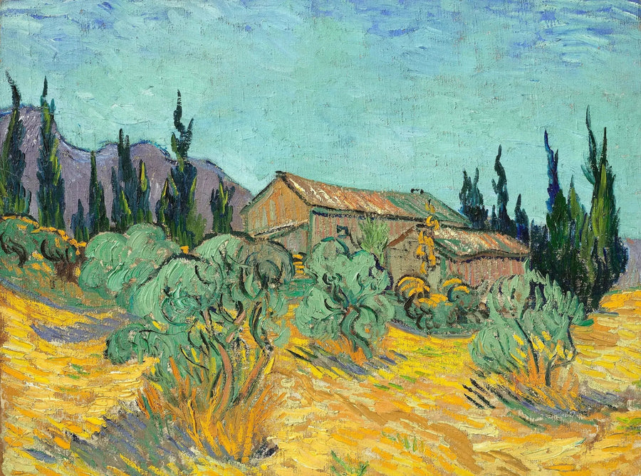 Cabana de madeira entre oliveiras e ciprestes - Vincent van Gogh