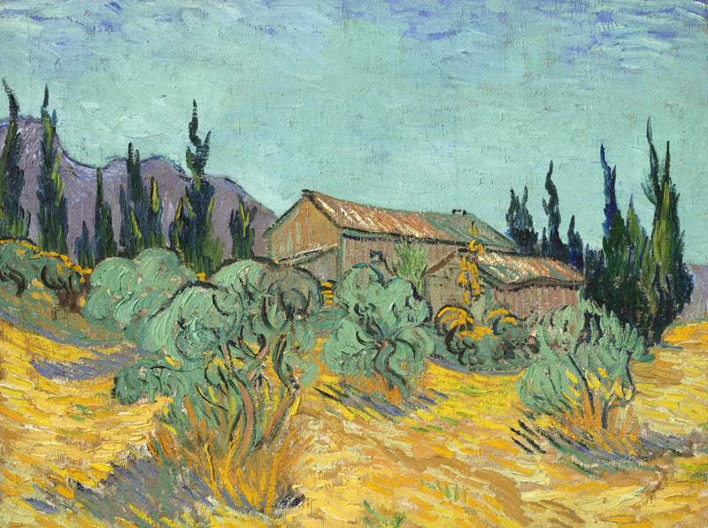 Cabana de madeira entre oliveiras e ciprestes - Vincent van Gogh