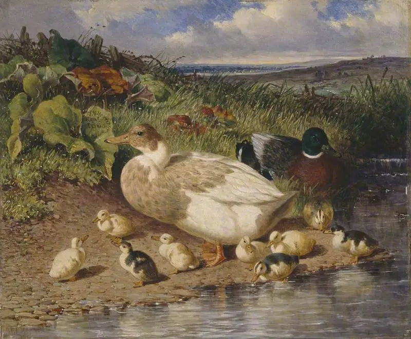 Patos à beira de um riacho - John Frederick Herring, Sr.