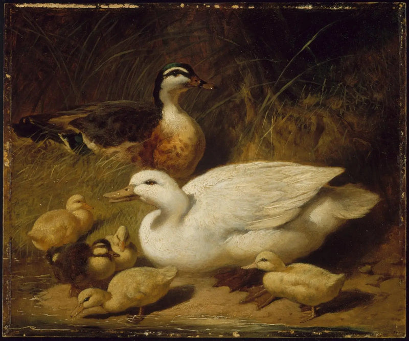 Patos e patinhos - John Frederick Herring, Sr.