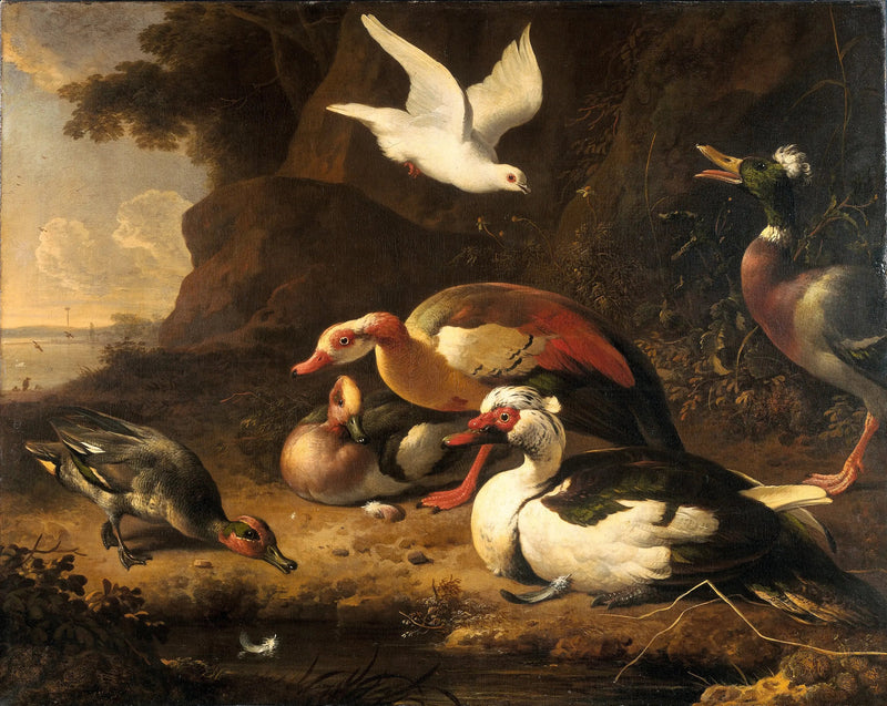 Patos - Melchior de Hondecoeter