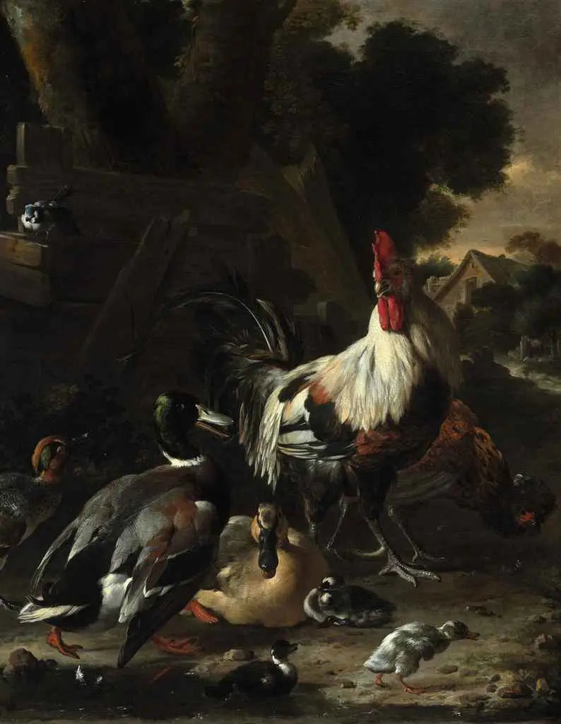 Patos, galinhas e outras aves de capoeira - Melchior de Hondecoeter