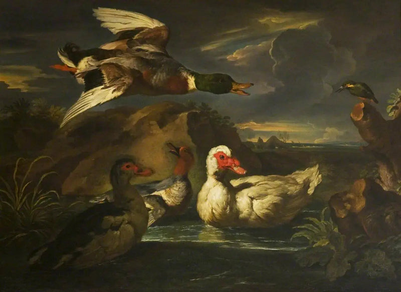 Patos selvagens com martim-pescador - Melchior de Hondecoeter