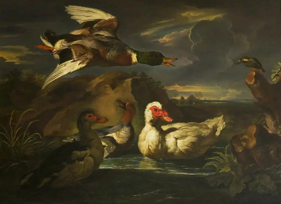 Patos selvagens com martim-pescador - Melchior de Hondecoeter