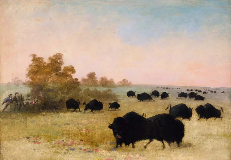 Catlin e Party Perseguindo Búfalo, Alto Missouri - George Catlin