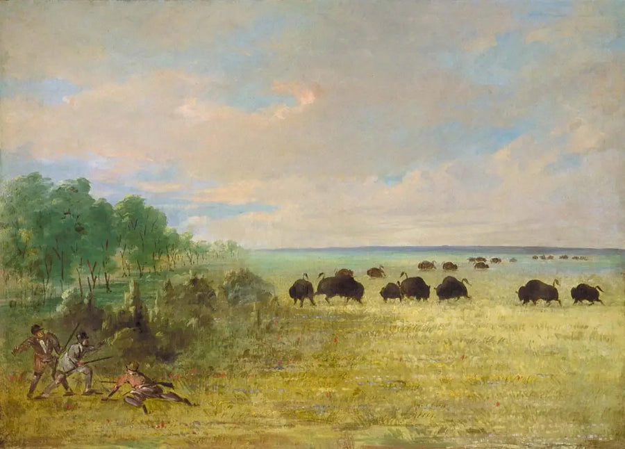Catlin e Party rastreiam Buffalo no Texas - George Catlin