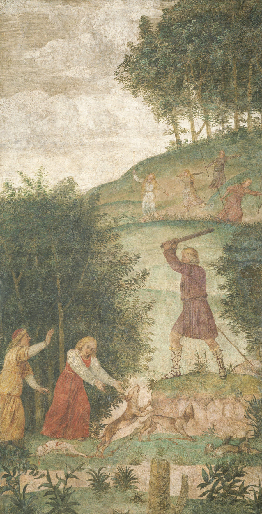Céphale punido na caça - Bernardino Luini