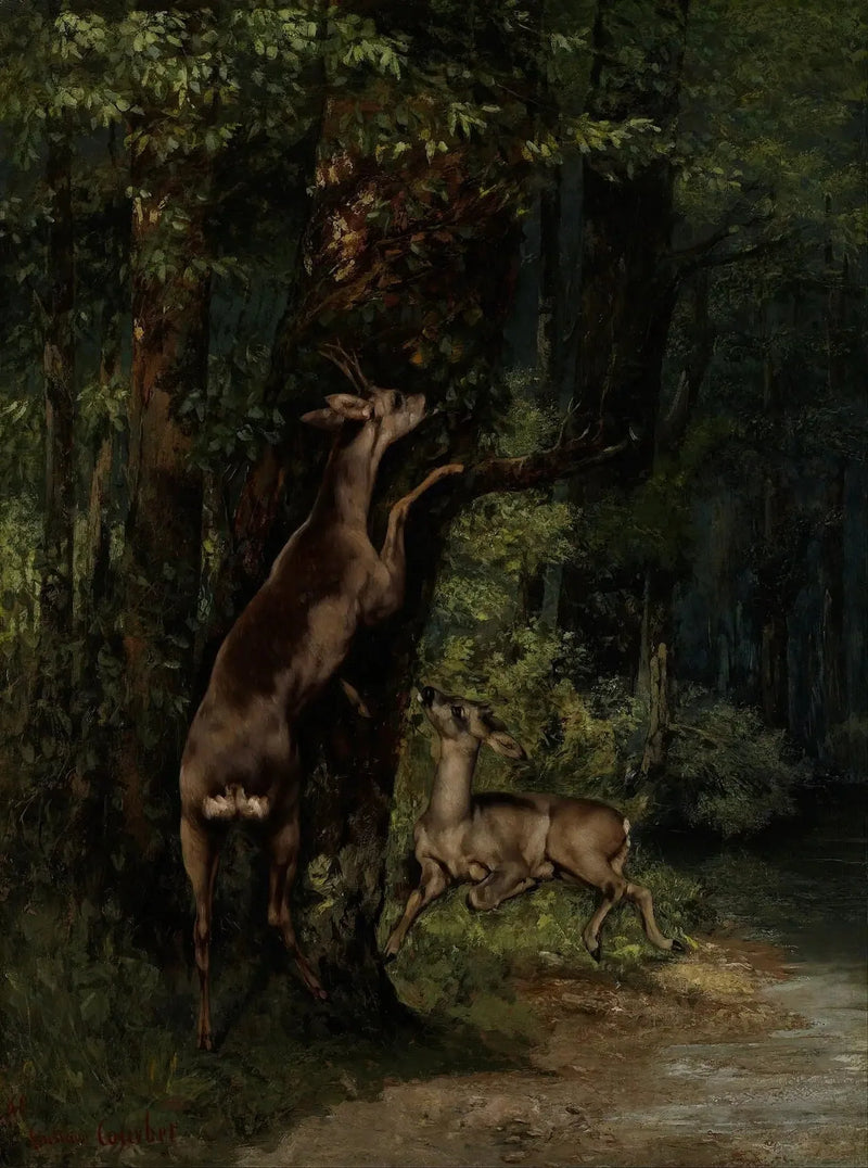Cervo na floresta - Gustave Courbet