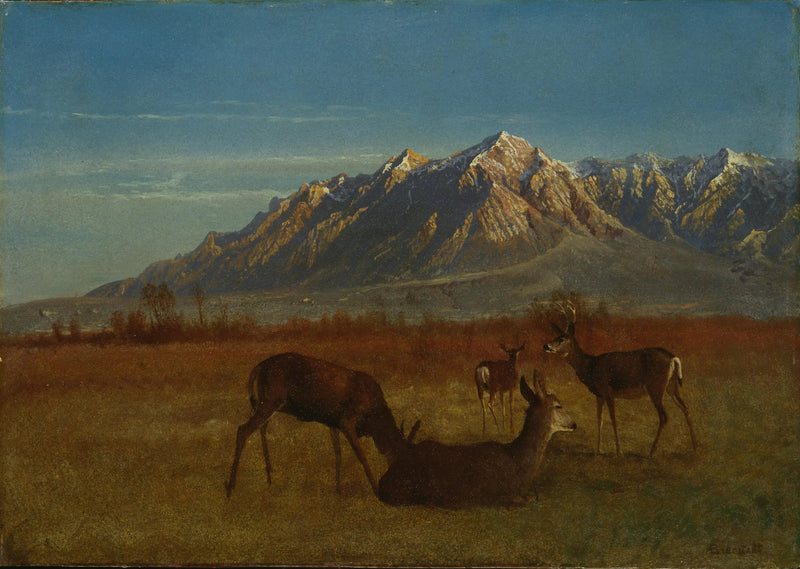 Veado em uma casa de montanha - Albert Bierstadt