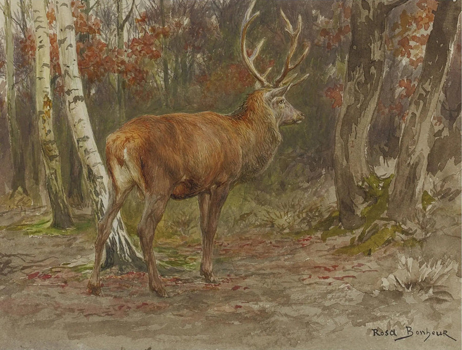 Veado Vigilante - Rosa Bonheur