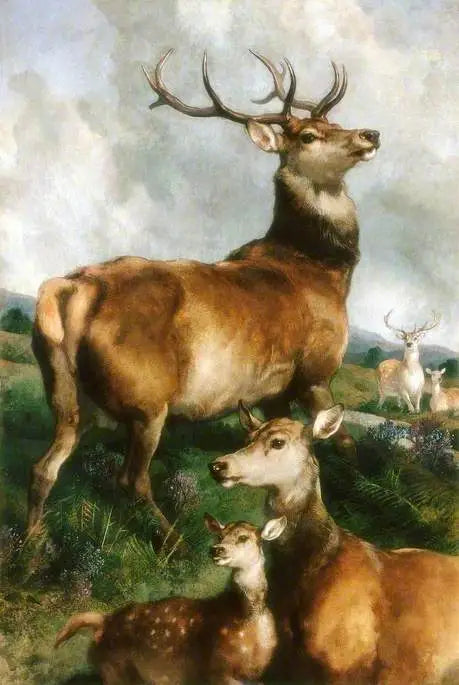 Cervos do parque de Chillingham, Northumberland - Edwin Henry Landseer