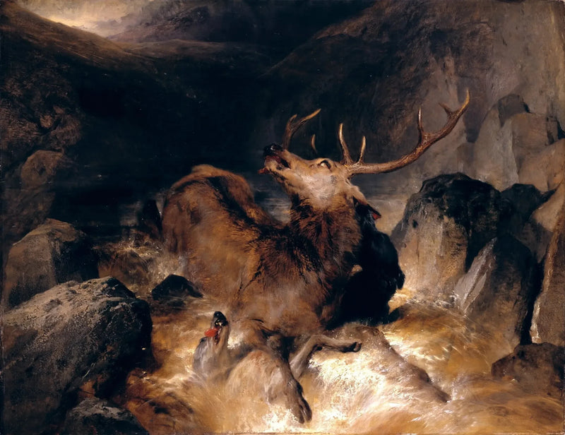 Cervos e cães de caça em um riacho de montanha - Edwin Henry Landseer