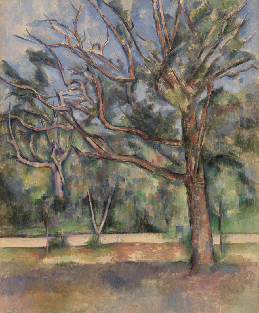 Árvores e estrada - Paul Cézanne
