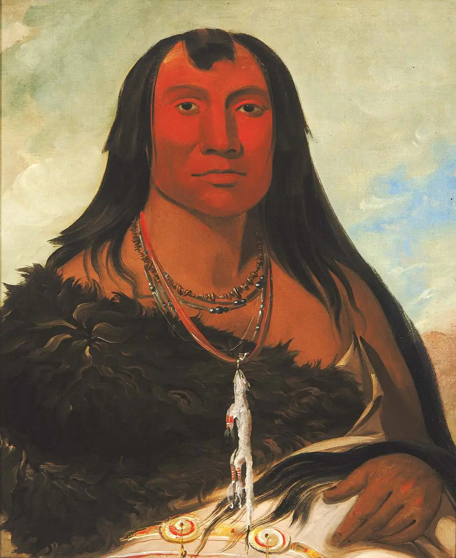 Cháh-ee-chópes, Quatro Lobos, um chefe enlutado - George Catlin