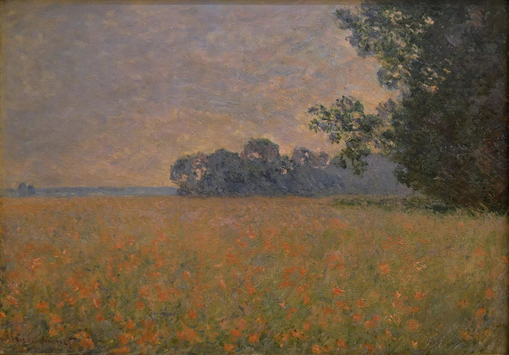 Campo de aveia papoula W1258 - Claude Monet