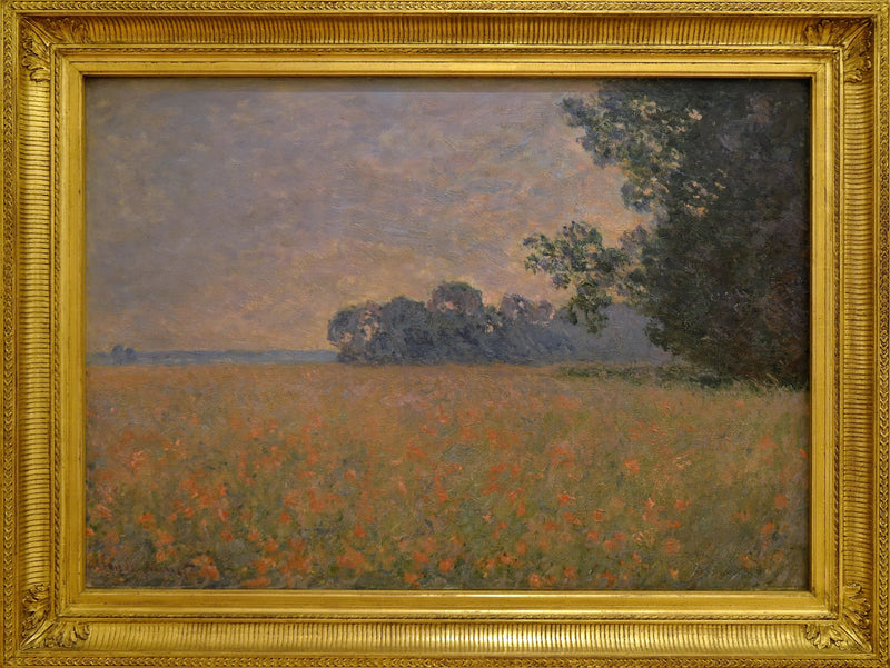 Campo de aveia papoula W1258 - Claude Monet