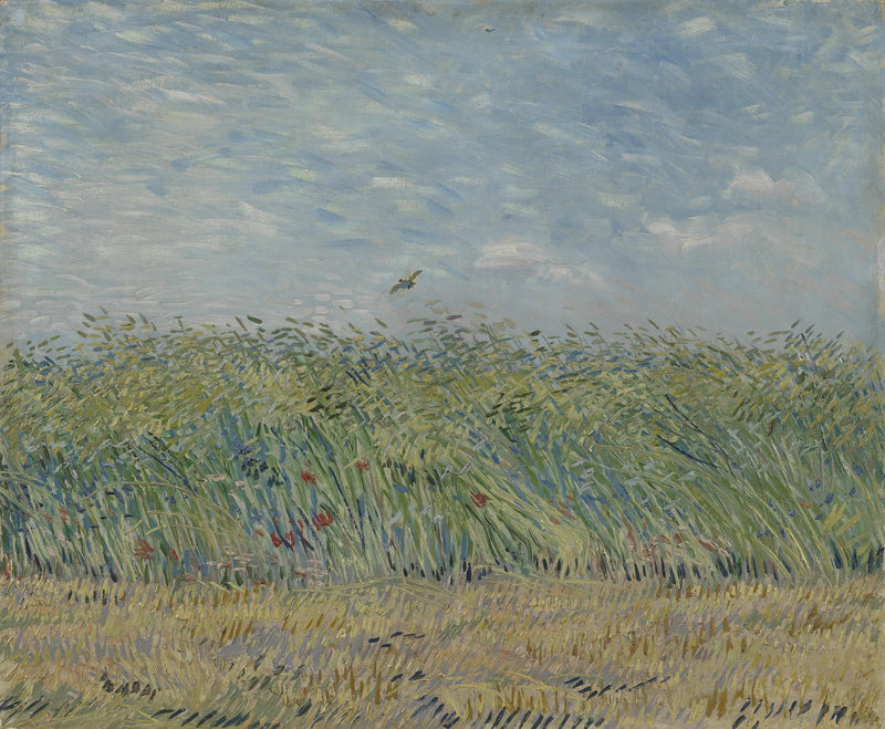 Campo de trigo com cotovia - Vincent van Gogh