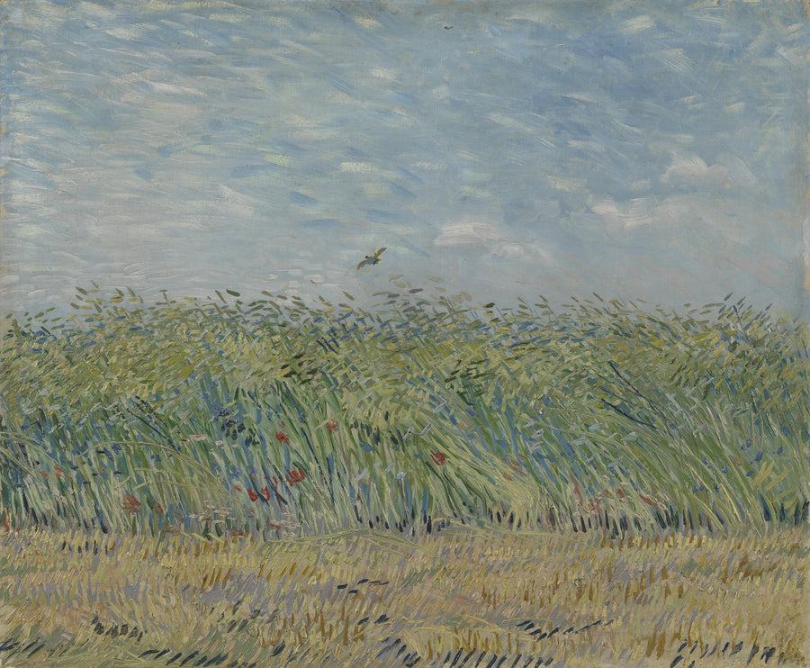 Campo de trigo com cotovia - Vincent van Gogh