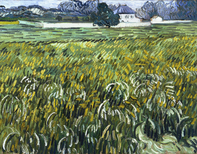 Campo de trigo em Auvers com casa - Vincent van Gogh