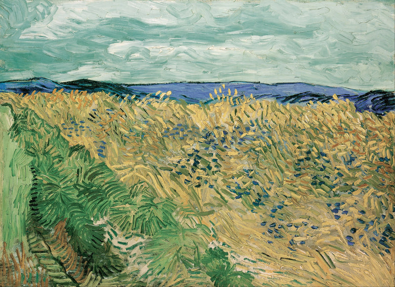 Campo de trigo com flores azuis - Vincent van Gogh