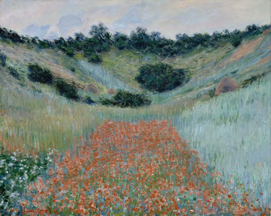 Campo de papoula em um W1000 oco - Claude Monet