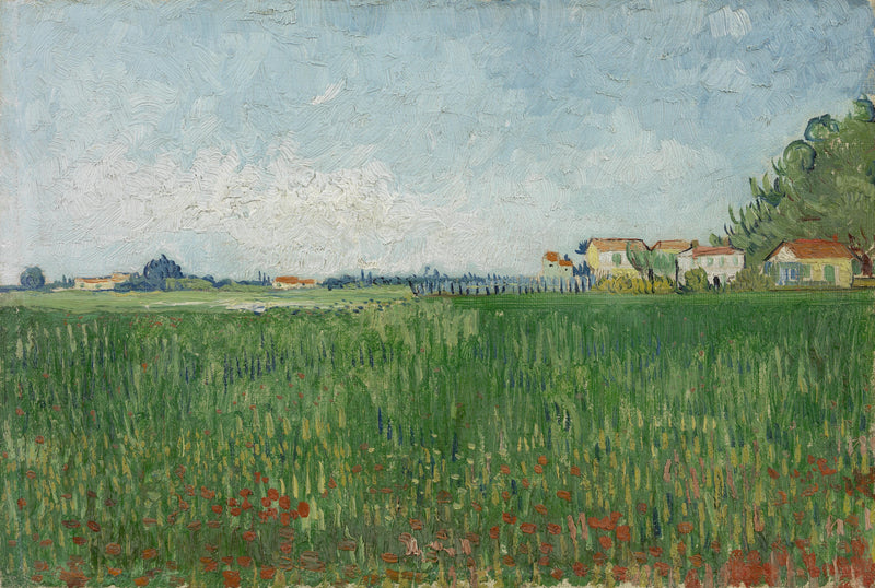 Campo de papoulas - Vincent van Gogh