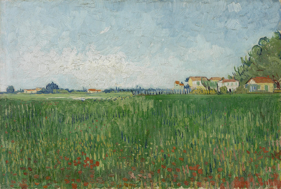 Campo de papoulas - Vincent van Gogh
