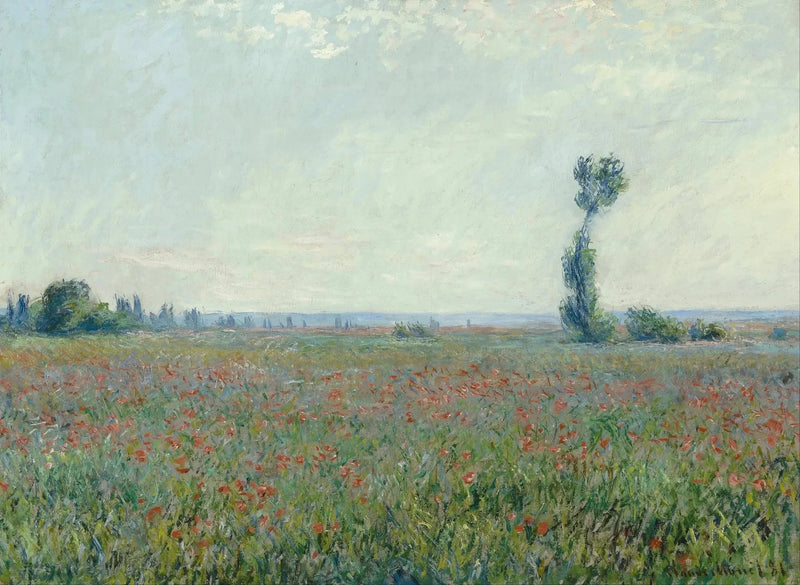 Campo de papoula W677 - Claude Monet